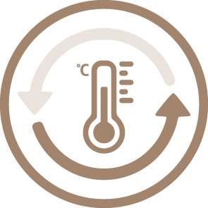 Temperature icon